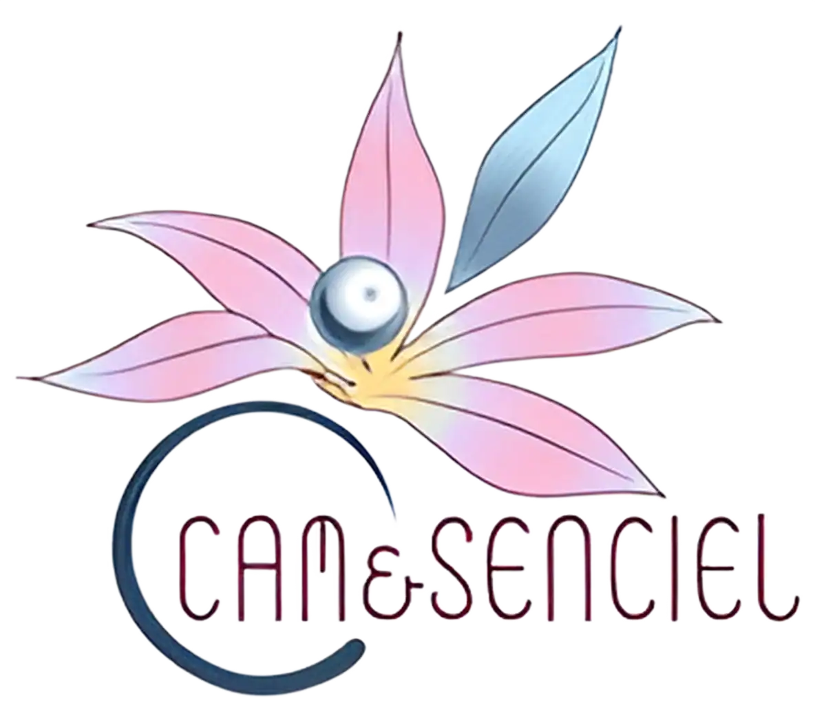 Cam&Senciel